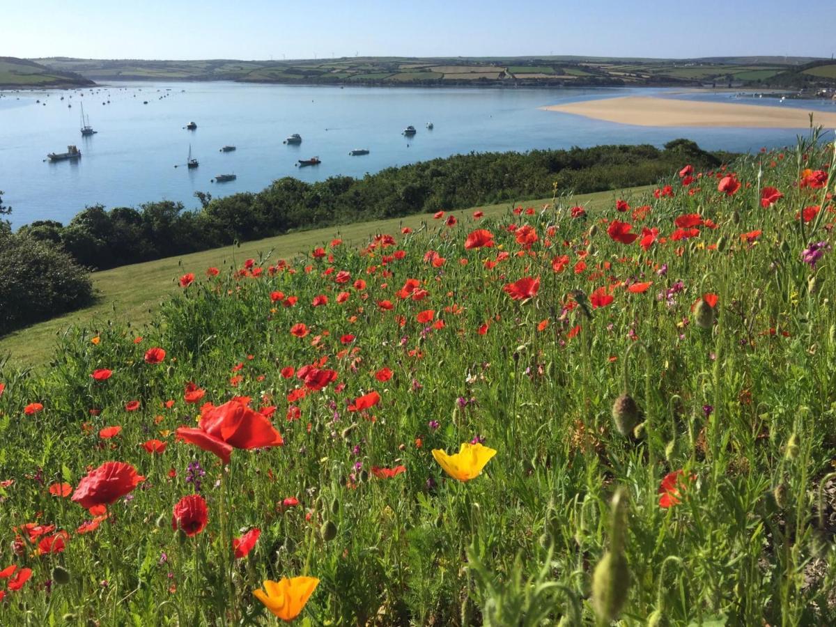 Bed and Breakfast Tor View Padstow Exteriér fotografie
